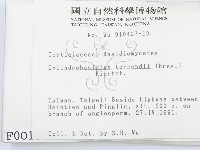 登錄號:F0000013藏品圖，第2張