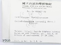 登錄號:F0000016藏品圖，第2張