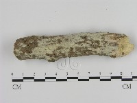 登錄號:F0000018藏品圖，第1張