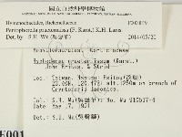 登錄號:F0000019藏品圖，第2張