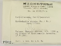 登錄號:F0000020藏品圖，第2張