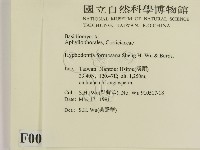 登錄號:F0000022藏品圖，第2張