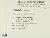 冇骨消絲齒菌藏品圖，第2張