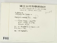 冇骨消絲齒菌藏品圖，第2張