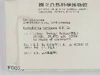 登錄號:F0000026藏品圖，第2張