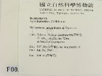 登錄號:F0000031藏品圖，第2張