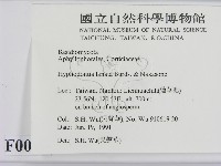 登錄號:F0000032藏品圖，第2張