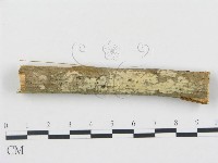 登錄號:F0000035藏品圖，第1張