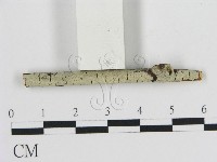 登錄號:F0000042藏品圖，第3張