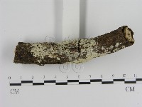 登錄號:F0000043藏品圖，第3張