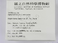 剛毛絲皮菌藏品圖，第2張