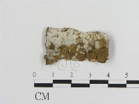 登錄號:F0000046藏品圖，第1張