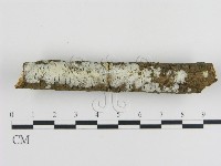 登錄號:F0000048藏品圖，第1張