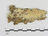 登錄號:F0000049藏品圖，第1張