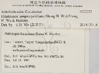 燈籠囊擬射脈菌藏品圖，第2張