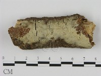 登錄號:F0000053藏品圖，第1張