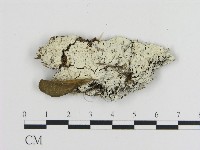 登錄號:F0000054藏品圖，第1張