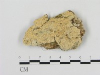 登錄號:F0000055藏品圖，第1張