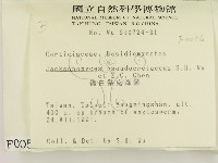 登錄號:F0000056藏品圖，第2張