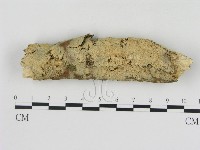 登錄號:F0000059藏品圖，第1張