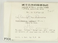 冇骨消絲齒菌藏品圖，第2張