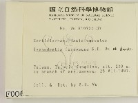 登錄號:F0000061藏品圖，第2張