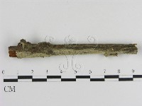 登錄號:F0000061藏品圖，第1張