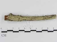 登錄號:F0000061藏品圖，第3張