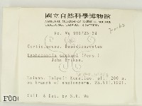 冇骨消絲齒菌藏品圖，第2張