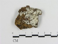 登錄號:F0000063藏品圖，第1張