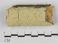 登錄號:F0000064藏品圖，第1張