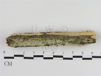 登錄號:F0000065藏品圖，第3張