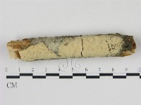 登錄號:F0000066藏品圖，第1張