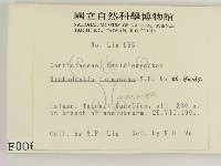 登錄號:F0000067藏品圖，第2張