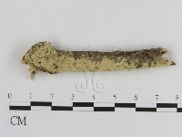 登錄號:F0000067藏品圖，第1張