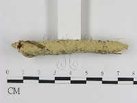 登錄號:F0000067藏品圖，第3張