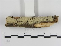 登錄號:F0000068藏品圖，第1張