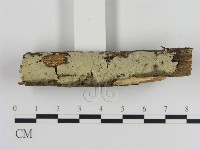 登錄號:F0000068藏品圖，第3張