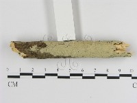 登錄號:F0000070藏品圖，第1張