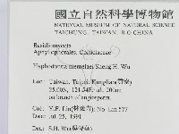 登錄號:F0000072藏品圖，第2張