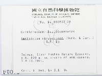 登錄號:F0000073藏品圖，第2張