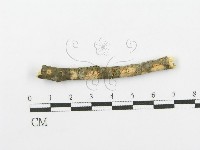 登錄號:F0000073藏品圖，第1張