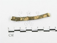 登錄號:F0000073藏品圖，第3張