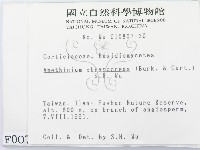 登錄號:F0000074藏品圖，第2張