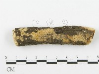 登錄號:F0000074藏品圖，第1張