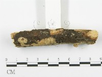 登錄號:F0000074藏品圖，第3張