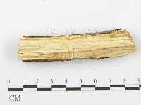 登錄號:F0000074藏品圖，第4張