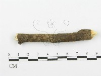 登錄號:F0000075藏品圖，第4張