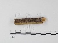 登錄號:F0000076藏品圖，第1張