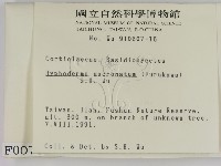 登錄號:F0000078藏品圖，第2張